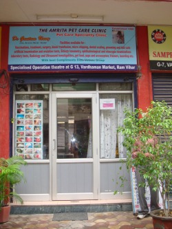 Pet best sale check clinic